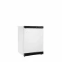 TEFCOLD - Congélateur de stockage blanc ventilé 1 porte pleine 120 L 