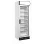 TEFCOLD - Congélateur vertical de vitrine statique canopée lumineux 1 porte 270 L