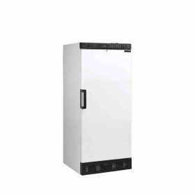 TEFCOLD - Armoire froide de stockage blanche 1 porte pleine 190 L