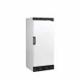 TEFCOLD - Armoire froide de stockage blanche 1 porte pleine 190 L