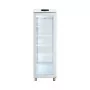 EBERHARDT FROID - Déclassé - Armoire froide positive porte vitrée blanche 359 L