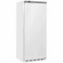 DIVERSO - Armoire congélateur GN 2/1 statique 600 L blanc