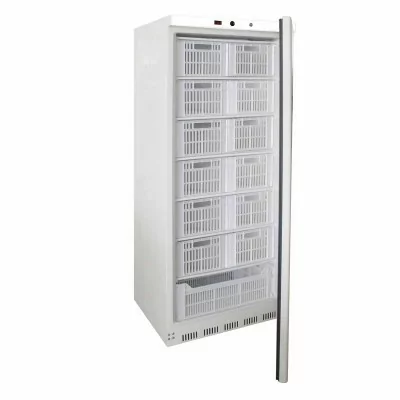 L2G - Armoire réfrigérée blanche 590 L, -18/-22°C, GAZ R600A