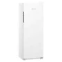 LIEBHERR - Armoire froide positive époxy blanc, porte pleine - 327 L