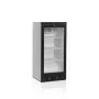 TEFCOLD - Armoire à boisson 372 L - 1 porte noire vitrée