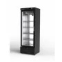 CORECO - Armoire gourmet 1 porte vitrée positive extérieur noir intérieur inox