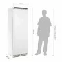 POLAR - Armoire froide positive 400 L blanche, 1 porte pleine - Série C