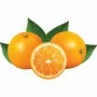 DIAMOND - Presse-agrumes sur meuble, 25 oranges/min, réserve de 7 L