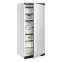 TEFCOLD - Armoire froide négative 1 porte pleine blanche GN 2/1 paniers 605 L