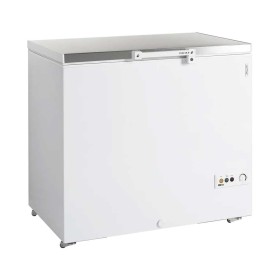 TEFCOLD - Congélateur de crème glacée couvercle inox 278 L